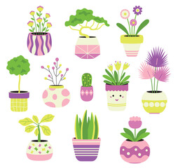 Collection of home flowers and plants in vases and pots. Delicate, calm colors, different shapes