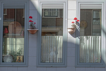 ventanas fachada gris y macetas con geranios