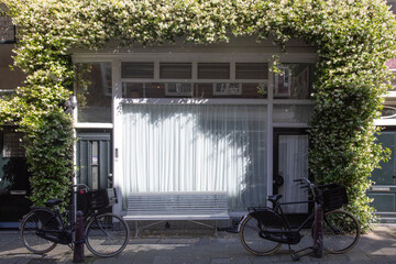 Fondo fotogr&aacute;fico ventana rodeada de plantas