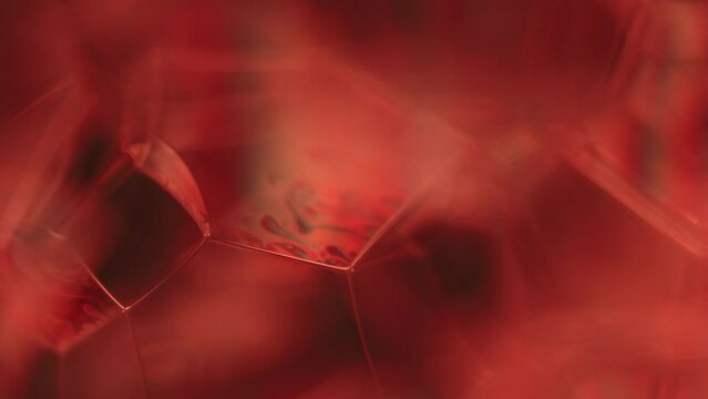 Red bubbles in macro, connection of bubbles in macro, red background, biological cell structure 