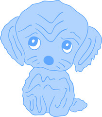 Cute puppy