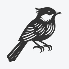 Graceful Bulbul Silhouette, Capturing the Elegance of Nature