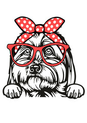 Coton de Tulear SVG, Dog Breed SVG, Dog SVG, Pet SVG, Cat SVG, Best Friend SVG, Guard SVG, Dog Lover SVG, Peeking Animal SVG, Coton de Tulear Silhouette, Vector, Clipart, Cut file for Cricut PNG, JPG