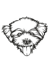 Maltipoo SVG, Dog Breed SVG, Dog SVG, Pet SVG, Cat SVG, Best Friend SVG, Guard SVG, Dog Lover SVG, Peeking Animal SVG, Maltipoo Silhouette, Maltipoo Vector, Clipart, Cut file for Cricut PNG, JPG, SVG