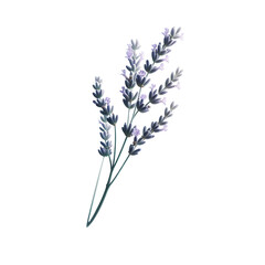 Naklejka premium botanical - 19