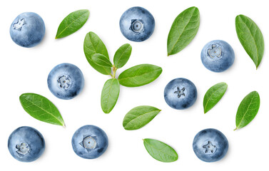 blueberry  and leaves on isolated white background, top view