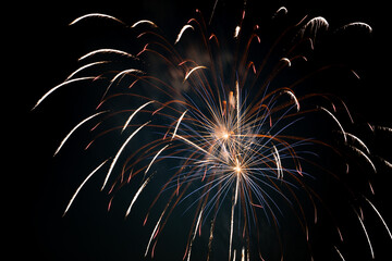Beautiful Fourth of July Fireworks in Arizona. 