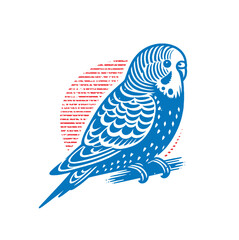 Budgerigar.  Blue and red. Vintage  engraving vector illustration. Line art, isolated object, cut out