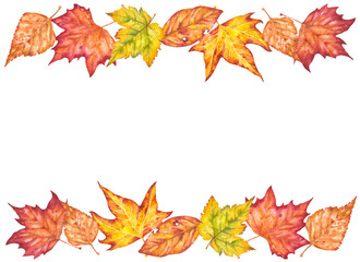 Hand drawn watercolor illustration. Frame of various autumn leaves painted in watercolor. Colorful illustration of autumn leaves for birthday, wedding, thanksgiving, holidays. Any creative designs.