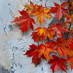 Autumn Splendor in Maple Leaves on White