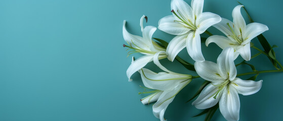 Elegant white lilies branch for condolence cards