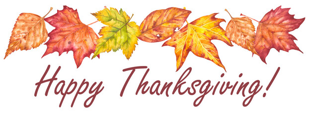 Hand drawn watercolor illustration with 