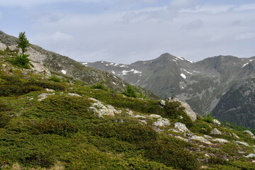 Schöne Landschaft im Ultental in Südtirol 