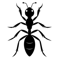 Ant Vector Silhouette on White Background High-Quality Illustration