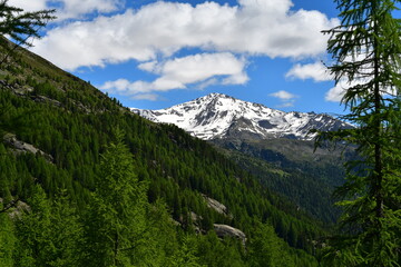 Obraz premium Schöne Landschaft mit Bergen im Ultental in Südtirol 
