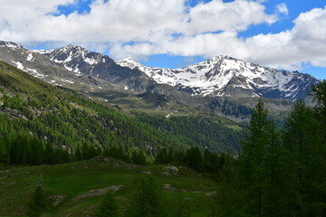 Fototapeta premium Schöne Landschaft im Ultental in Südtirol 