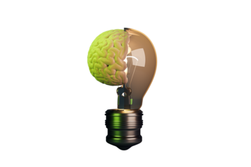 A brain inside a lightbulb on white background, symbolizing creative thinking or innovation. 3D Rendering