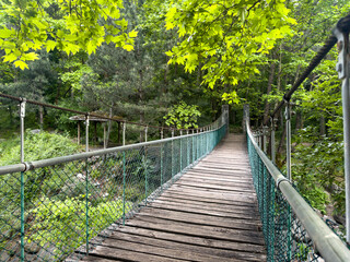 Obraz premium empty suspension bridge in the forest, hiking concept