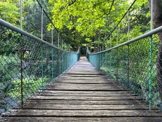 empty suspension bridge in the forest, hiking concept