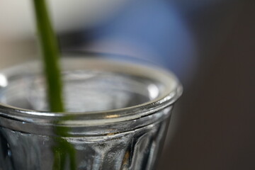 closeup of a vase