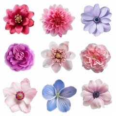Set of nine colorful flowers with petals in various shades of pink, purple, and blue