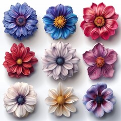 Set of nine colorful and detailed flower illustrations with white background