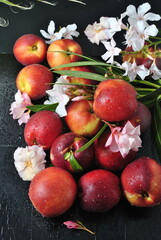 autumn still life with apples