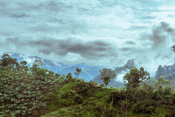 Beautiful landscape in the Andes Mountains, banana trees plantations, clouds. Jardin, Jardín, Antioquia, Colombia. Fog, mist.
