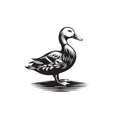 Duck silhouette vector art illustration