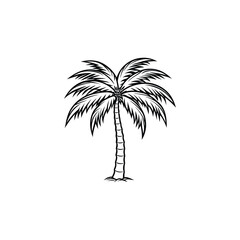 palm tree silhouette