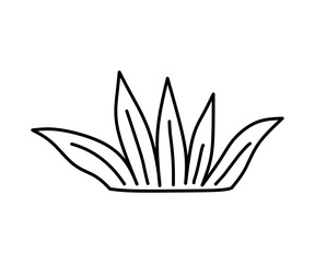 Bush isolated on a white background. Vector hand-drawn illustration in doodle style. Perfect for cards, decorations, logo, various designs.