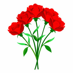 Elegant Red Carnation Bouquet on White