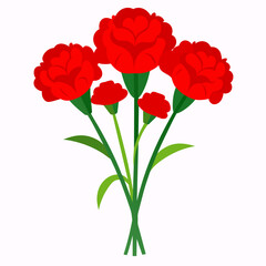 Elegant Red Carnation Bouquet on White