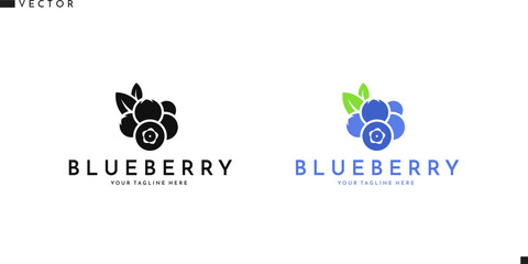 Blueberry with leaves sign. Abstract vector