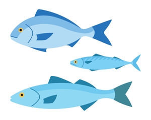 Sea bass, dorala, mackerel. Simplified images of marine edible fish. Minimalist flat illustration, vector.