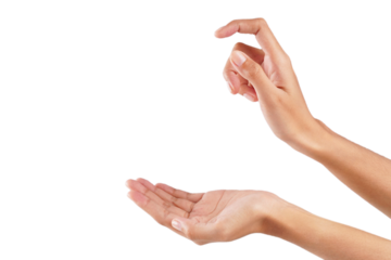 Hand holding something hand pose isolated transparent