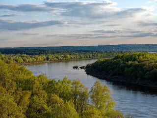 Fototapeta premium Trees on the riverbank in the evening
