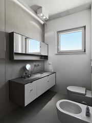 interior of a modern bathroom in the foreground the washbasin cabinet with its mirror