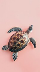 A friendly sea turtle swimming on a solid light pink background with space above for text