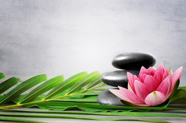 Japanese zen garden meditation stone and flower for harmony and balance.