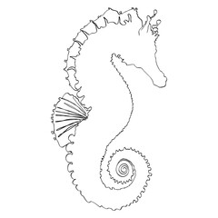 seahorse