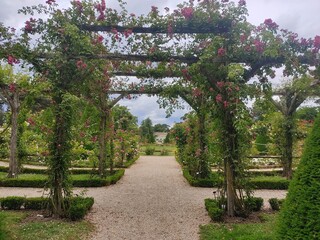 Rese garden of Bagatelle, Bosque de Boulogne, Paris
