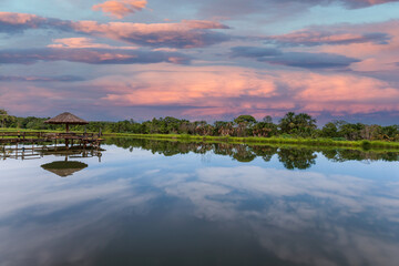 Landscape of a Lake in a farm