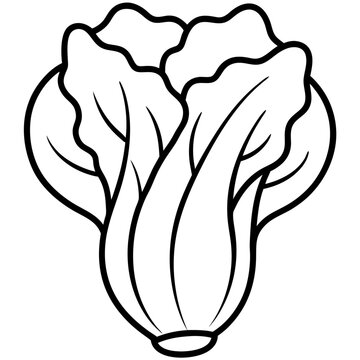 recommend clip art: Choi sum outline coloring book page line art illustration digital drawing