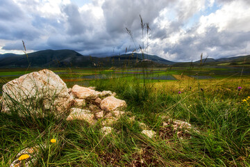 Castelluccio - Infiorata
