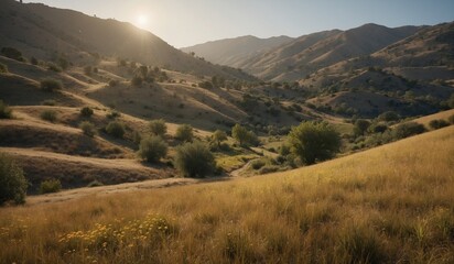 Obraz premium Autumn hills bathed in the warm glow of setting sun.