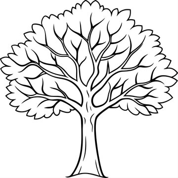 fall tree outline coloring book page line art illustration digital drawing