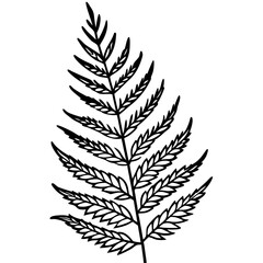 Naklejka premium fern outline coloring book page line art illustration digital drawing
