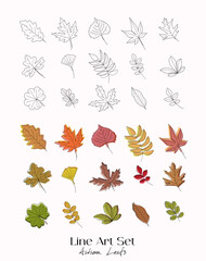 Set of hand drawn outline autumn leaves doodles. Black and color vector elements on white background. Different types of leaves. Sketch technique. Perfect for coloring pages, stickers. Simple line art