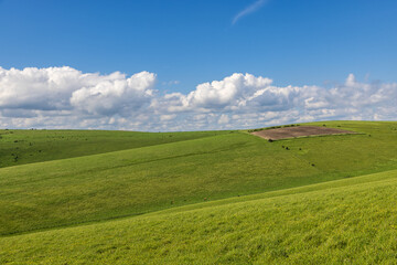 Fototapeta premium A green rolling landscape at Mount Caburn near Lewes, with a blue sky overhead